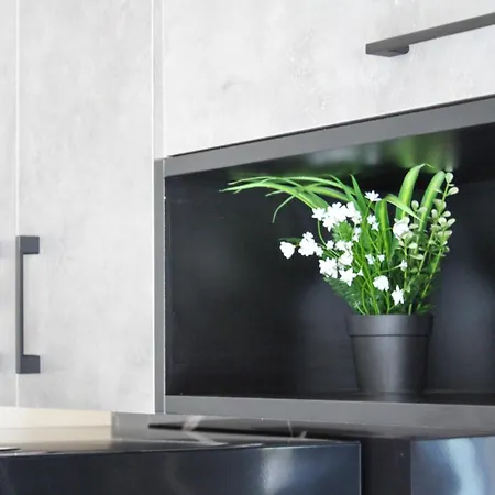 דירה Comfy ניקיטי